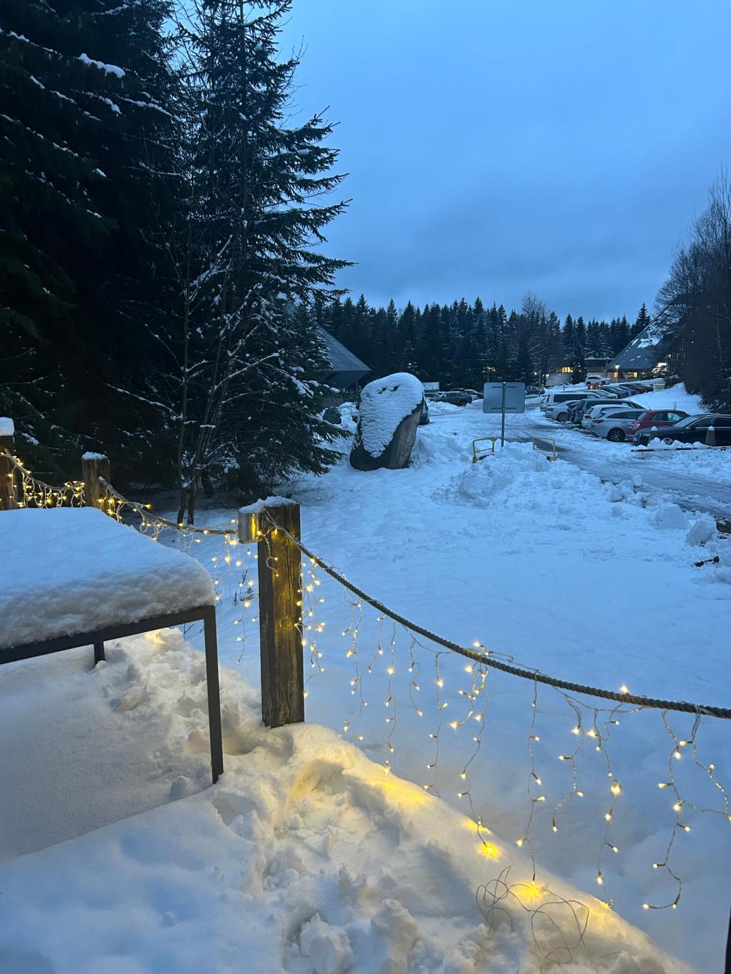 Horsky Chalet Harrachov Exterior foto